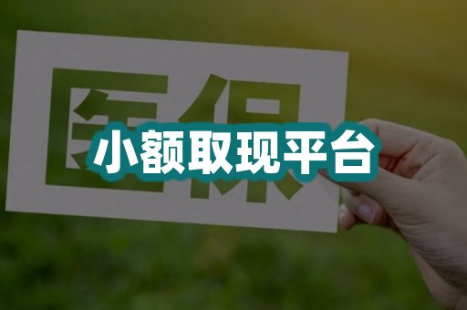 小额取现平台